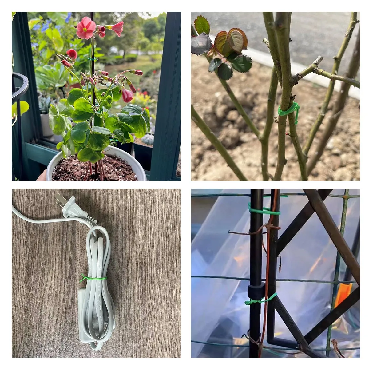 green-plant-tie