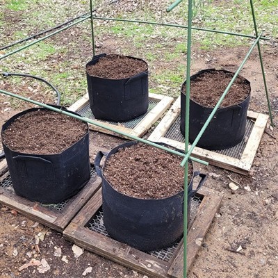 ควรเลือกเสารองรับพืชชนิดใด?