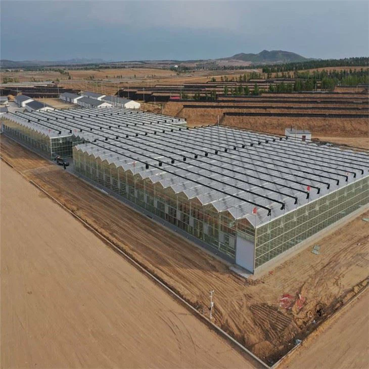 เรือนกระจก