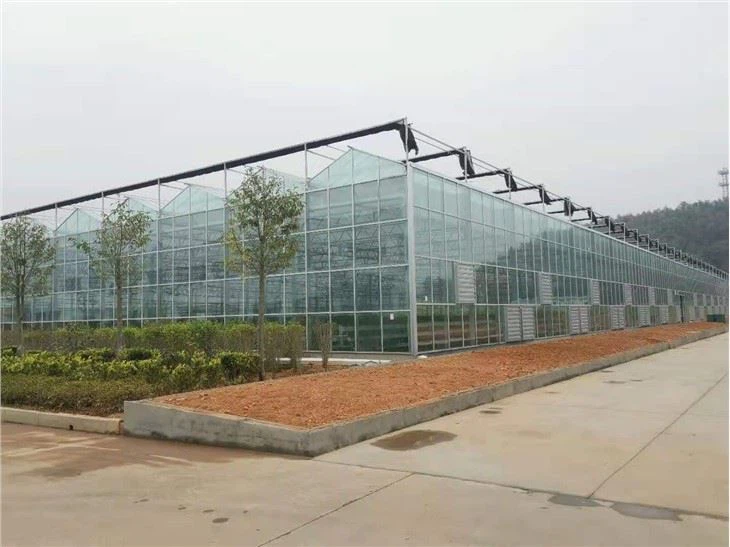 Glass Greenhouses