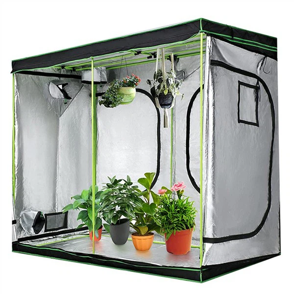 เต็นท์เติบโต 8x4